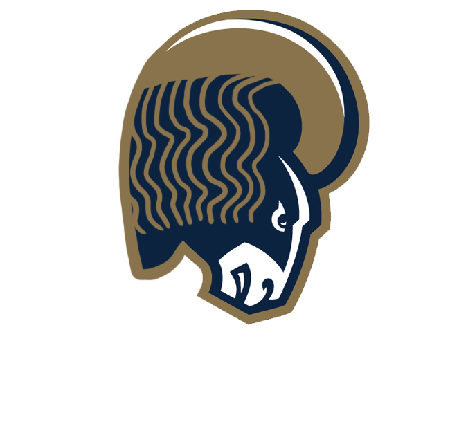 Los Angeles Rams Ramen Logo fabric transfer